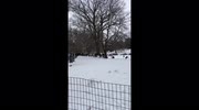 temp