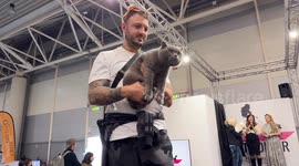 Cats with their owners during an exhibition of fine cat breeds during Quattrozampeinfiera, the promotional event for pet lovers in Rome.