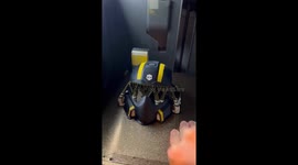 Exclusive- Bimbus the cat goes viral with 'Helldivers' helmet on TikTok