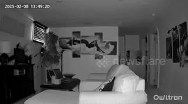 Captured on our security camera basement of our home