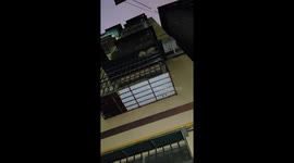 Feline flexibility: ‘Cat snake' amazes onlookers in Sichuan