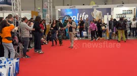 Some adopted dogs parade on the red carpet accompanied by their owners during Quattrozampeinfiera, the promotional event for pet lovers in Rome.