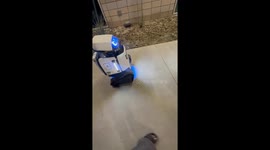 Exclusive- Friends have unexpected encounter with a patrol robot at Tempe Town Lake