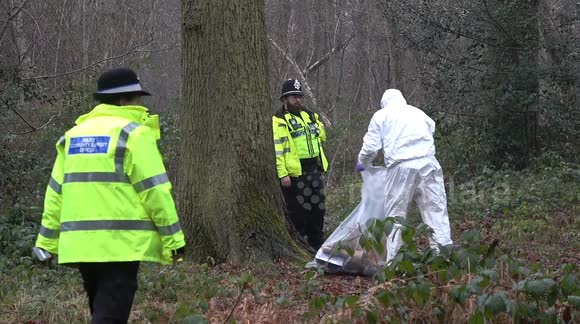 Police cordon off woodland after a woman was allegedly raped by two men in Solihull, West Midlands