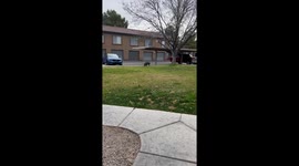 Exclusive- Surprised by a herd of javelinas after Girl Scout cookie delivery