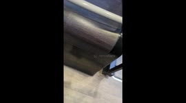 Trent Barton Bus Crashes into Nottingham City Transport Bus