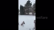 temp