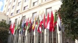 UAE: Arab states reject Trump's Gaza takeover plan: Arab League chief