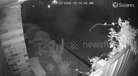 Wild winds and lightning cause tree to collapse outside house in Melbourne