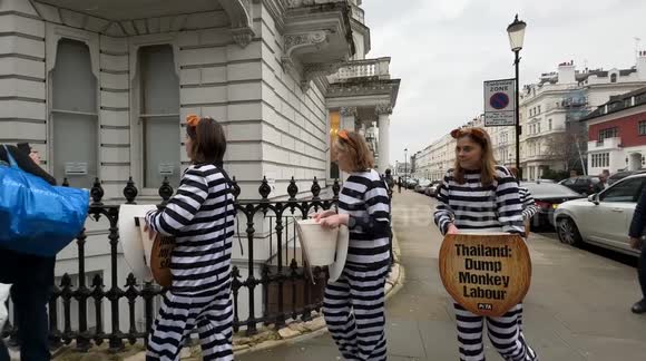 PETA activists pour 'coconut milk' over themselves in monkey labour protest