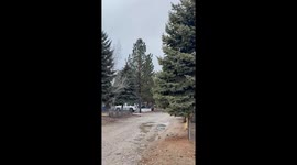 High Winds in San Bernardino mountains with Heavy rain due due to winter storm