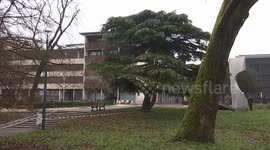 Over 10 injured in grenade explosion in France