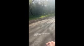 We were on our way to the study farmers market, an average day. Like always my husband was trying to do too much. He is the reason in my life we don’t have nice things, clearly.