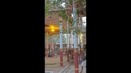 3 Elderly Die In Stampede Created By Elephant Attack At Kerala Temple