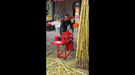 Automatic sugarcane peeler amazes customers in China