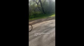 Saturday morning bike ride to the farmers market while my husband fails miserably at trying to do a wheelie