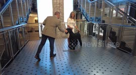 US: Westminster Best in Show Winner Visits the Empire State Building