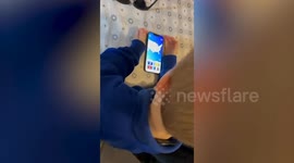 Genius, four, knows all 50 US states on map - and every flag in the world