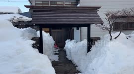 Japan: Heavy snow continues affecting Fukushima, disrupting daily life, damaging agriculture