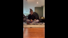 Great Dane Sits On Owner's Back