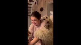 A dog gently and shyly hugs her owner from the back while her owner looks at phone.