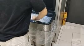 Kids are diligent to throw trashes after have this SENSOR BIN