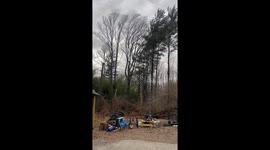 US homeowner captures dramatic moment falling tree crushes shed