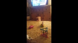 Grandmother films adorable 'argument' with 10-month-old speaking gibberish