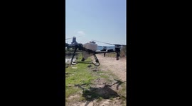 Drones fertilize crops in SW China