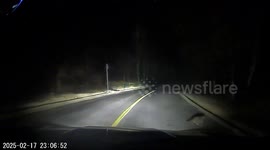 Drivers slams on brakes to avoid cat - seconds later, landslide buries road in China