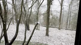 30 minutes of snowfall in Mountainburg, AR with Ice beginning to form