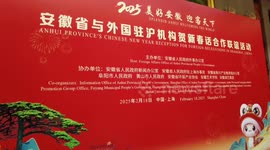 Diplomats, business leaders hope for deeper cooperation with China's Anhui