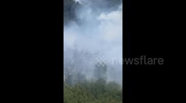 Argentina: Fires advance on the Lanín volcano, Argentine Patagonia