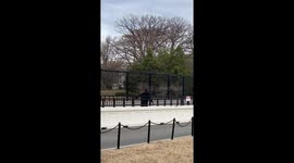 Man Tries To Jump Fence Near White House