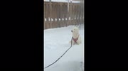 temp