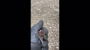 temp