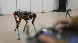 China: New, super-fast robot dog in China can run 100 meters in under 10 seconds