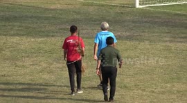 Football match halted when bees swarm around goalpost