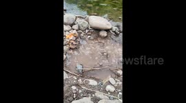 Bubbles emerging from river catch fire leaving locals in China baffled