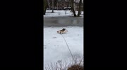 temp