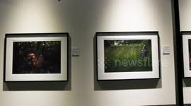 Xposure: Peruvian Wildlife Photographer Honoured For Outstanding Work