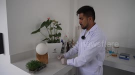 Peruvian inventor's plant-powered light system illuminates communities in need