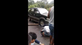 A large python blocked a car passing on the highway in Indonesia