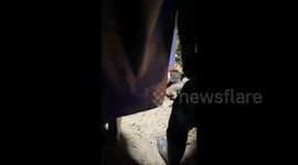 Colombia: 8 soldiers dead and 16 injured in military truck accident in Nariño