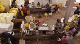 China: Chinese seedling nurseries scale up production for spring farming season