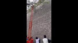 Firefighters rescue stranded cat from tall city wall in China