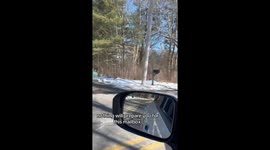 driving by an unusual mailbox that includes a large wood carved Sasquatch