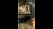 temp