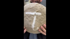 Ancient Afghan method preserves grapes fresh for 6 months