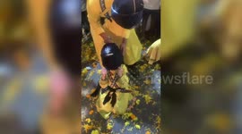 6-Year-Old prodigy amazes crowd with blindfolded stunt performances